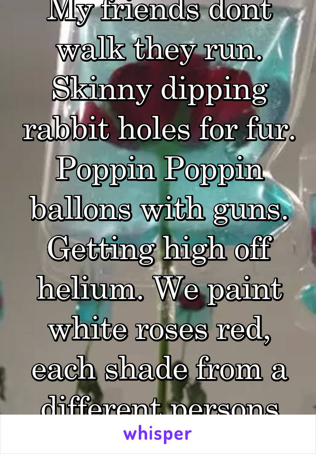 My friends dont walk they run.
Skinny dipping rabbit holes for fur.
Poppin Poppin ballons with guns.
Getting high off helium. We paint white roses red, each shade from a different persons head