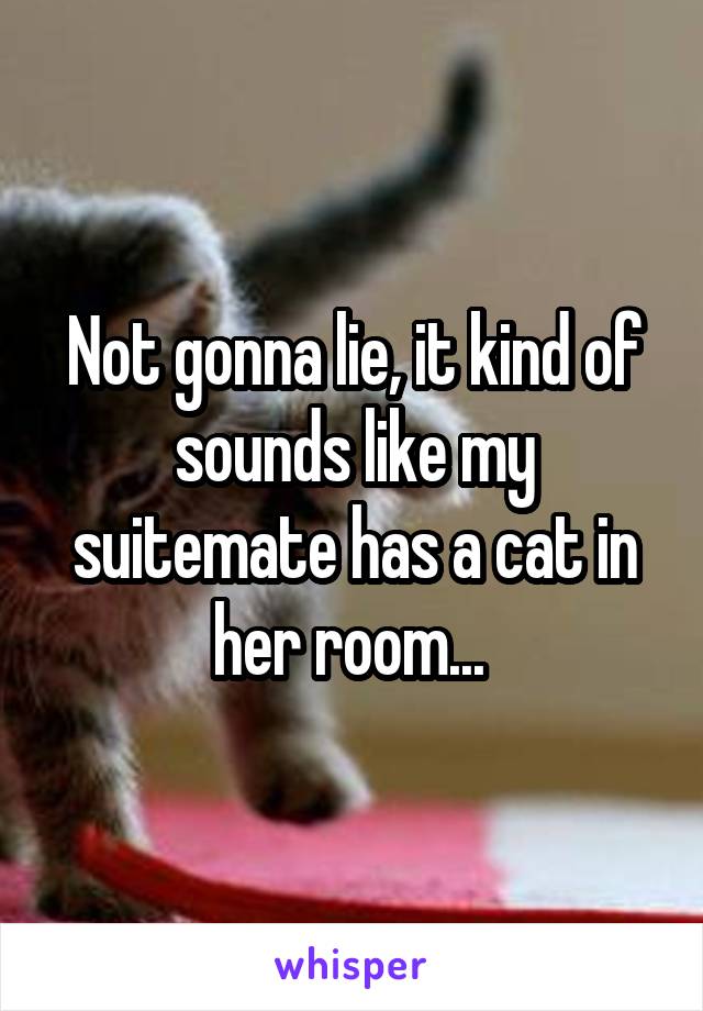 Not gonna lie, it kind of sounds like my suitemate has a cat in her room... 