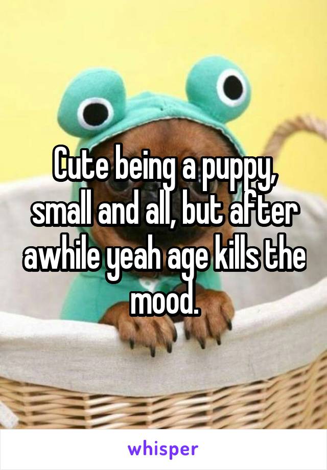 Cute being a puppy, small and all, but after awhile yeah age kills the mood.