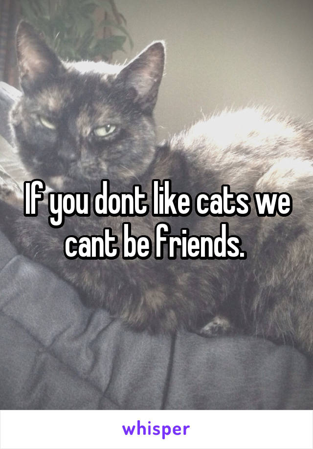 If you dont like cats we cant be friends. 