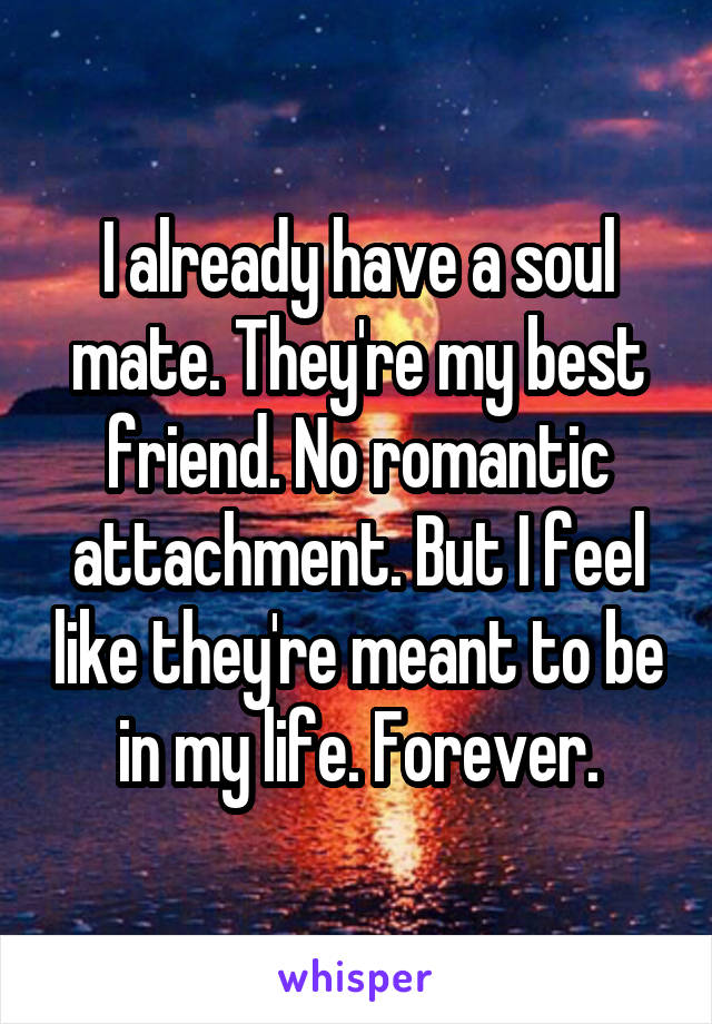 I already have a soul mate. They're my best friend. No romantic attachment. But I feel like they're meant to be in my life. Forever.