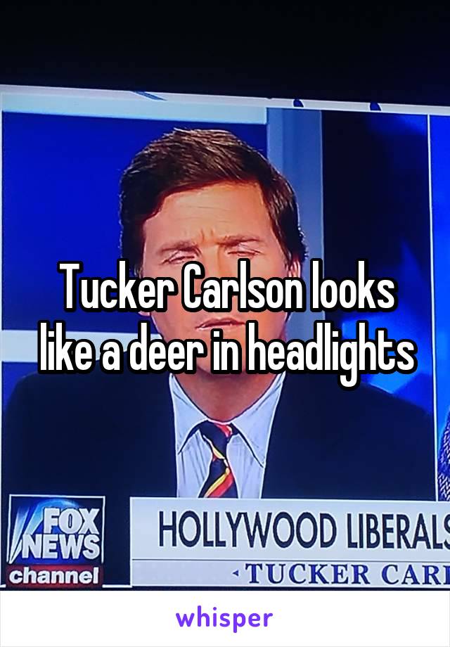 Tucker Carlson looks like a deer in headlights