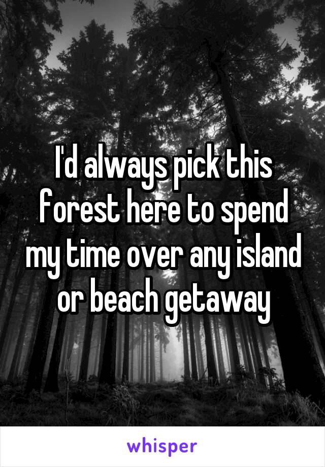 I'd always pick this forest here to spend my time over any island or beach getaway