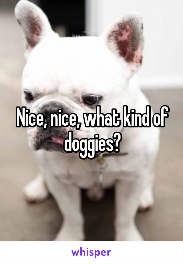 Nice, nice, what kind of doggies?