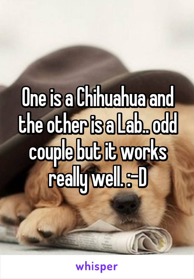 One is a Chihuahua and the other is a Lab.. odd couple but it works really well. :-D