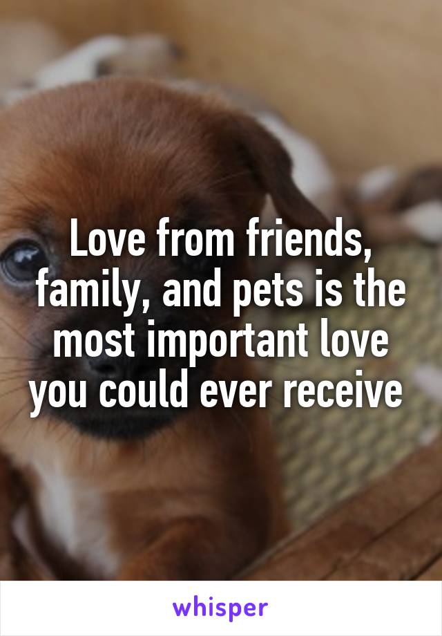 Love from friends, family, and pets is the most important love you could ever receive 