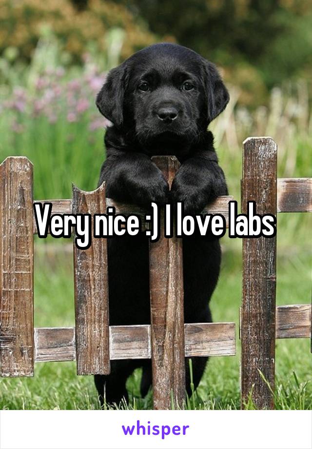 Very nice :) I love labs 