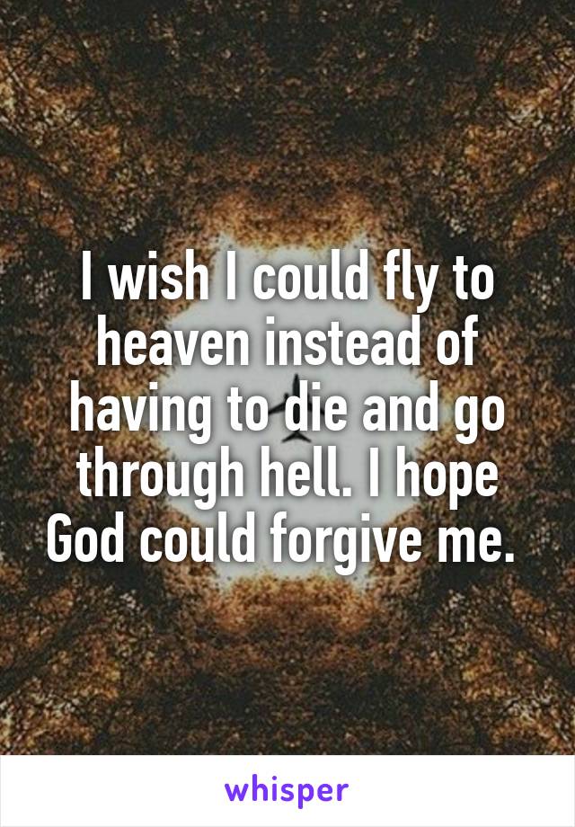 I wish I could fly to heaven instead of having to die and go through hell. I hope God could forgive me. 