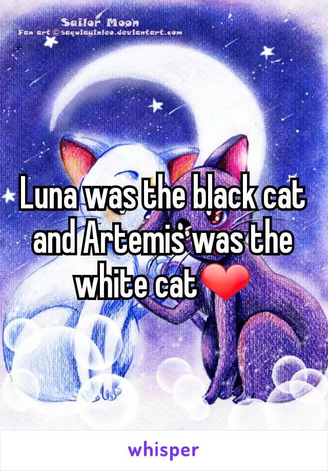 Luna was the black cat and Artemis was the white cat❤