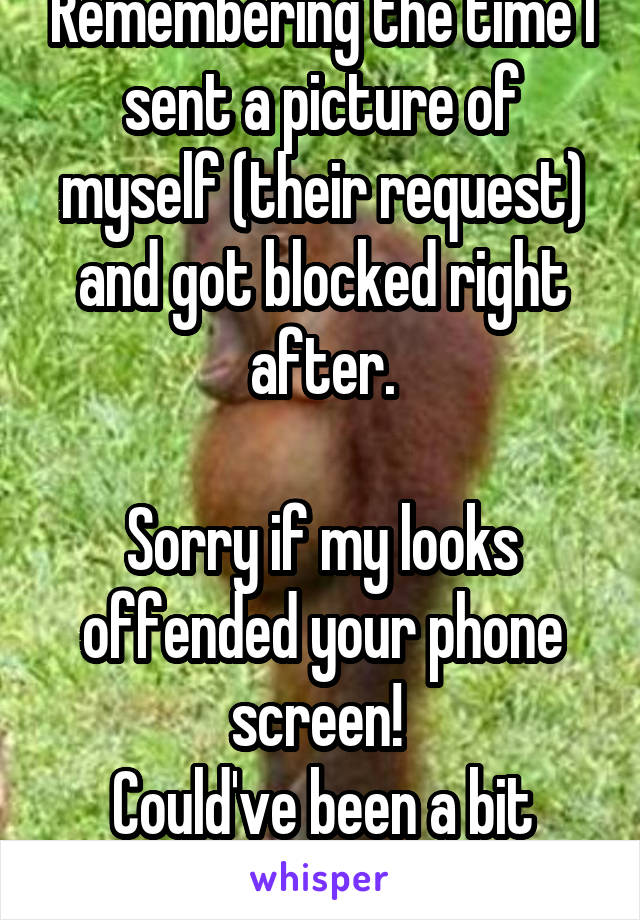 Remembering the time I sent a picture of myself (their request) and got blocked right after.

Sorry if my looks offended your phone screen! 
Could've been a bit nicer!