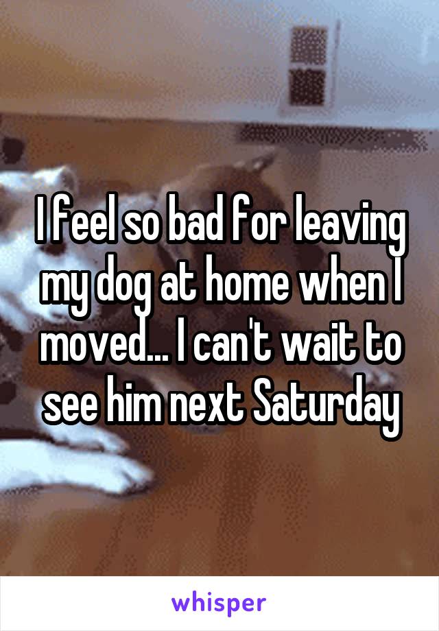 I feel so bad for leaving my dog at home when I moved... I can't wait to see him next Saturday