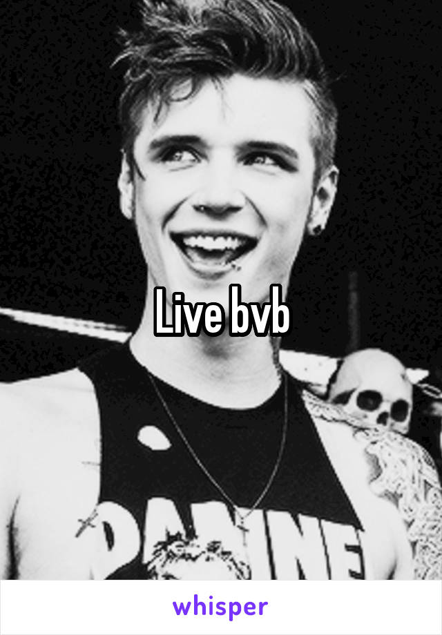 Live bvb