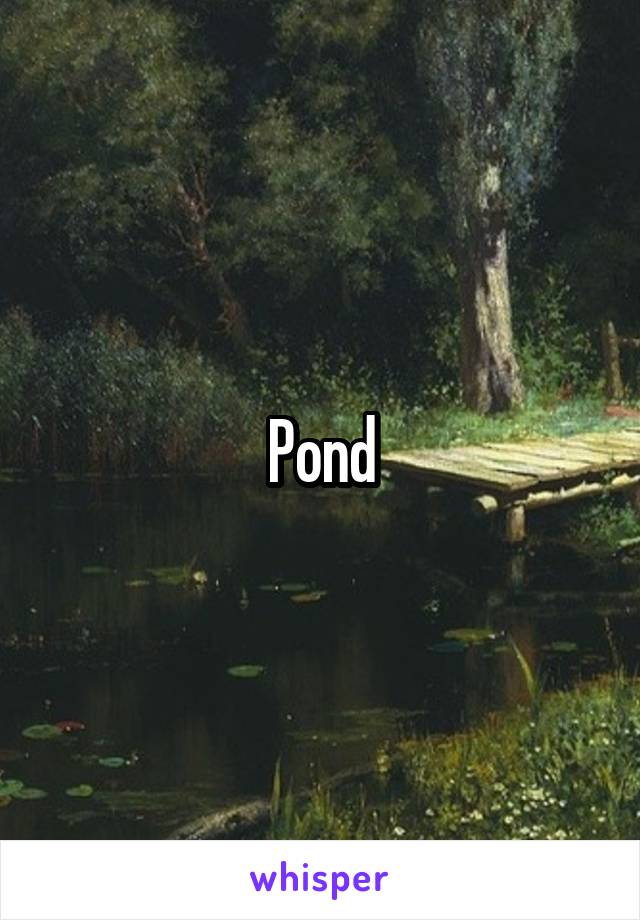 Pond