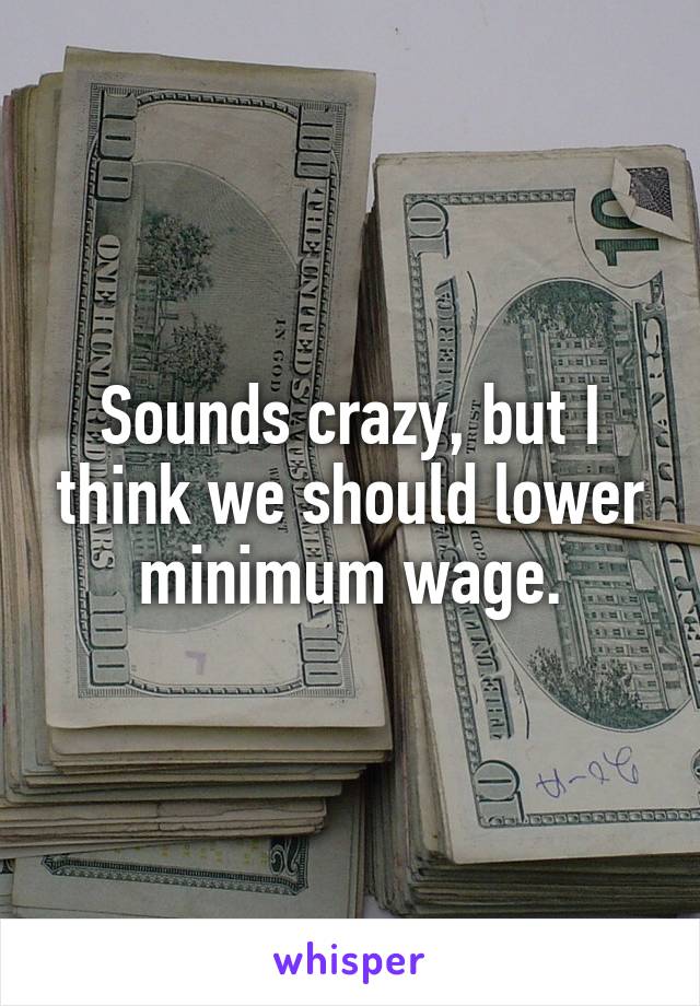 Sounds crazy, but I think we should lower minimum wage.