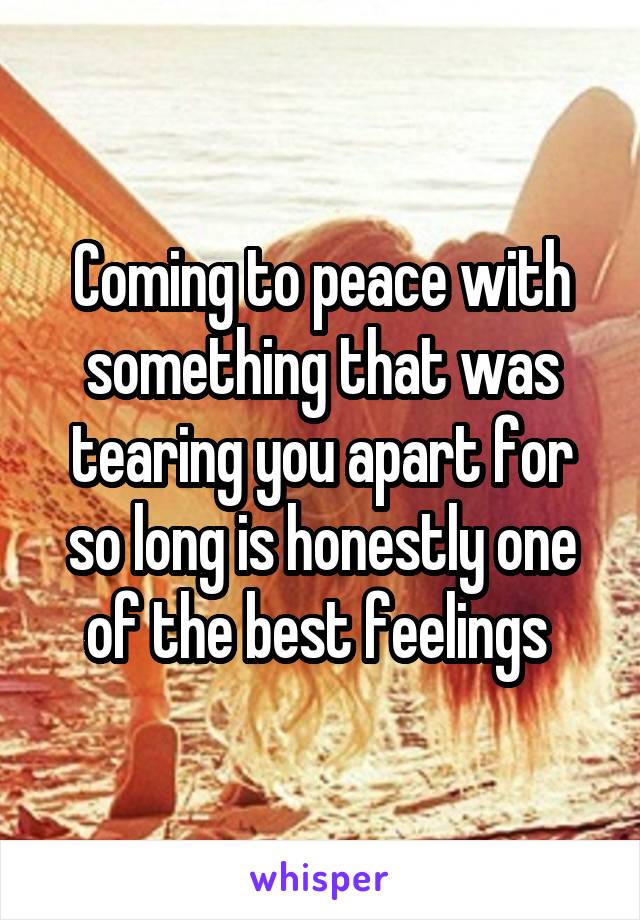 Coming to peace with something that was tearing you apart for so long is honestly one of the best feelings 