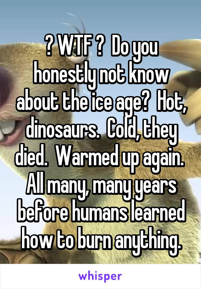 ? WTF ?  Do you honestly not know about the ice age?  Hot, dinosaurs.  Cold, they died.  Warmed up again.  All many, many years before humans learned how to burn anything.