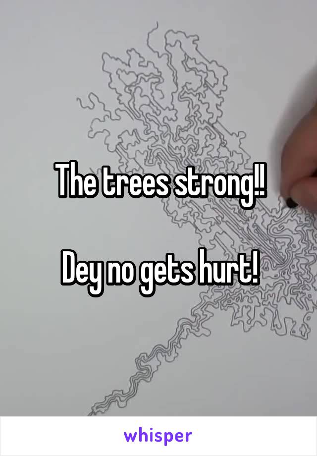 The trees strong!!

Dey no gets hurt!