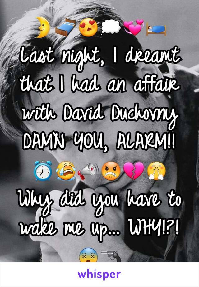 🌛🛏😍💭💞🛌
Last night, I dreamt that I had an affair with David Duchovny DAMN YOU, ALARM!!
⏰😭📣😠💔😤
Why did you have to wake me up... WHY!?!
😵🔫