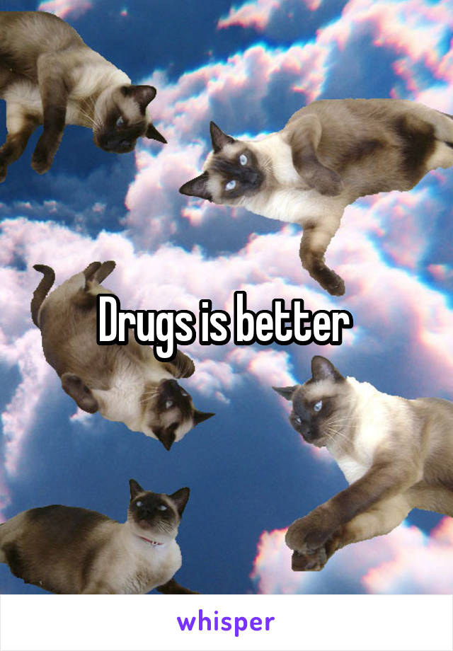 Drugs is better 