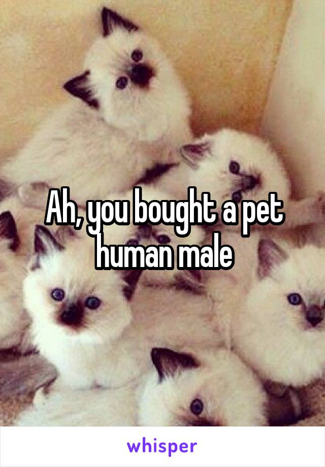 Ah, you bought a pet human male