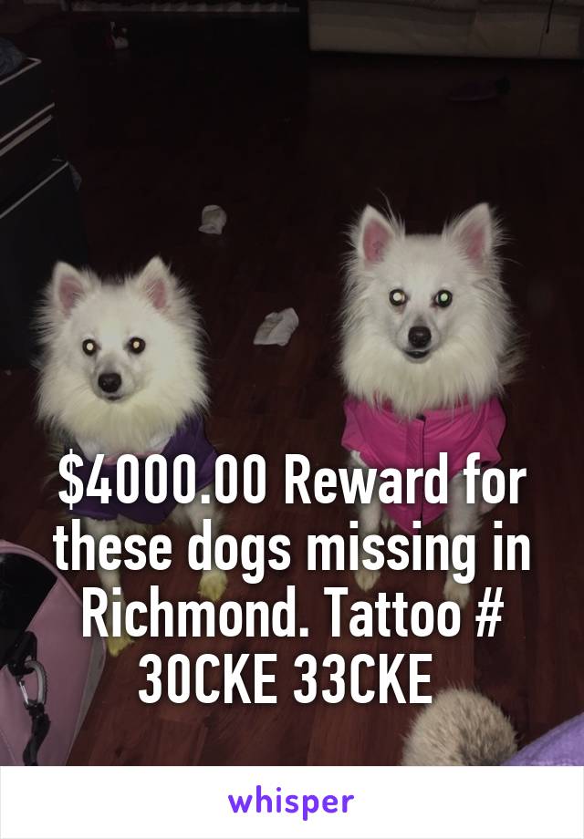 




$4000.00 Reward for these dogs missing in Richmond. Tattoo # 30CKE 33CKE 