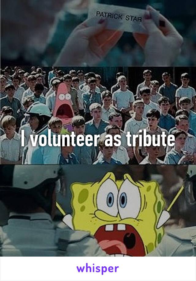 I volunteer as tribute