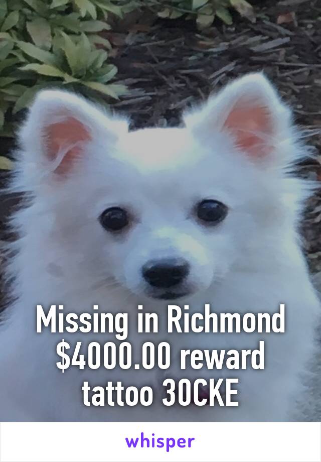 






Missing in Richmond
$4000.00 reward tattoo 30CKE