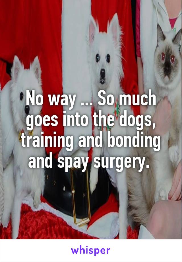 No way ... So much goes into the dogs, training and bonding and spay surgery. 