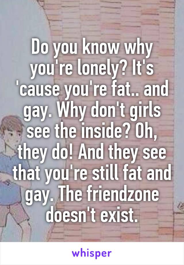 Do you know why you're lonely? It's 'cause you're fat.. and gay. Why don't girls see the inside? Oh, they do! And they see that you're still fat and gay. The friendzone doesn't exist.