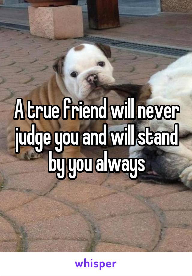 A true friend will never judge you and will stand by you always