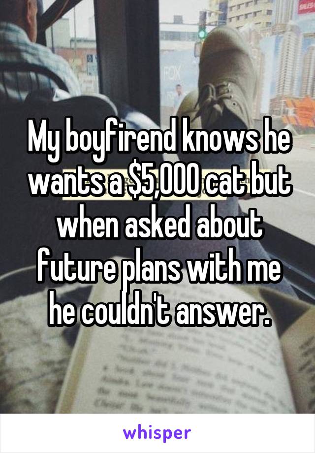 My boyfirend knows he wants a $5,000 cat but when asked about future plans with me he couldn't answer.