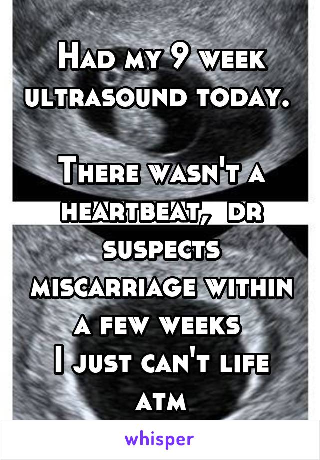 Had my 9 week ultrasound today.  
There wasn't a heartbeat,  dr suspects miscarriage within a few weeks 
I just can't life atm