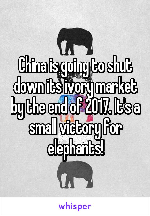 China is going to shut down its ivory market by the end of 2017. It's a small victory for elephants!