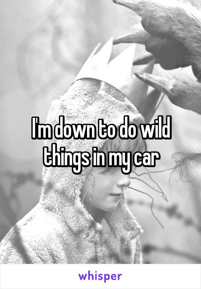 I'm down to do wild things in my car