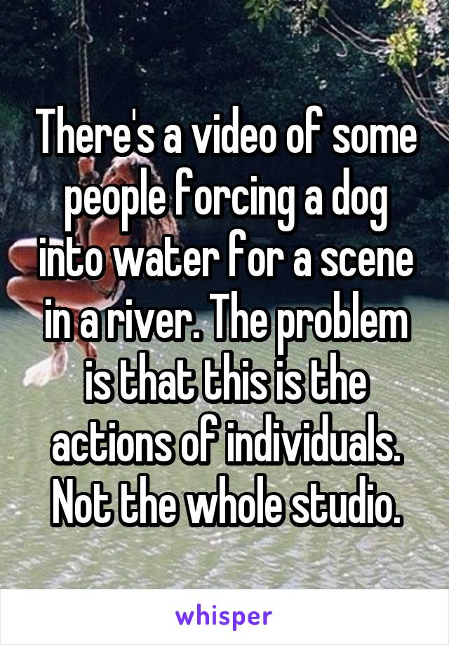 There's a video of some people forcing a dog into water for a scene in a river. The problem is that this is the actions of individuals. Not the whole studio.