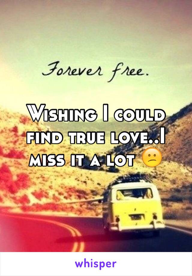 Wishing I could find true love..I miss it a lot 😕