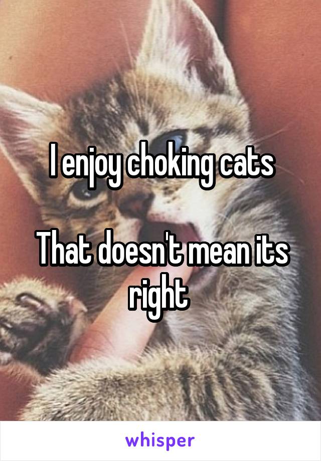 I enjoy choking cats

That doesn't mean its right 