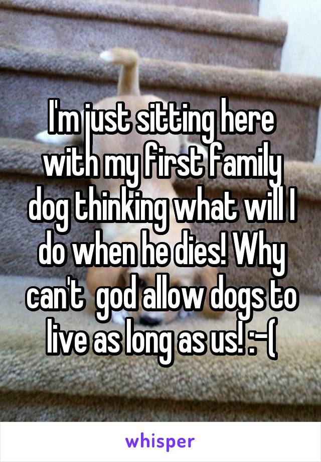 I'm just sitting here with my first family dog thinking what will I do when he dies! Why can't  god allow dogs to live as long as us! :-(