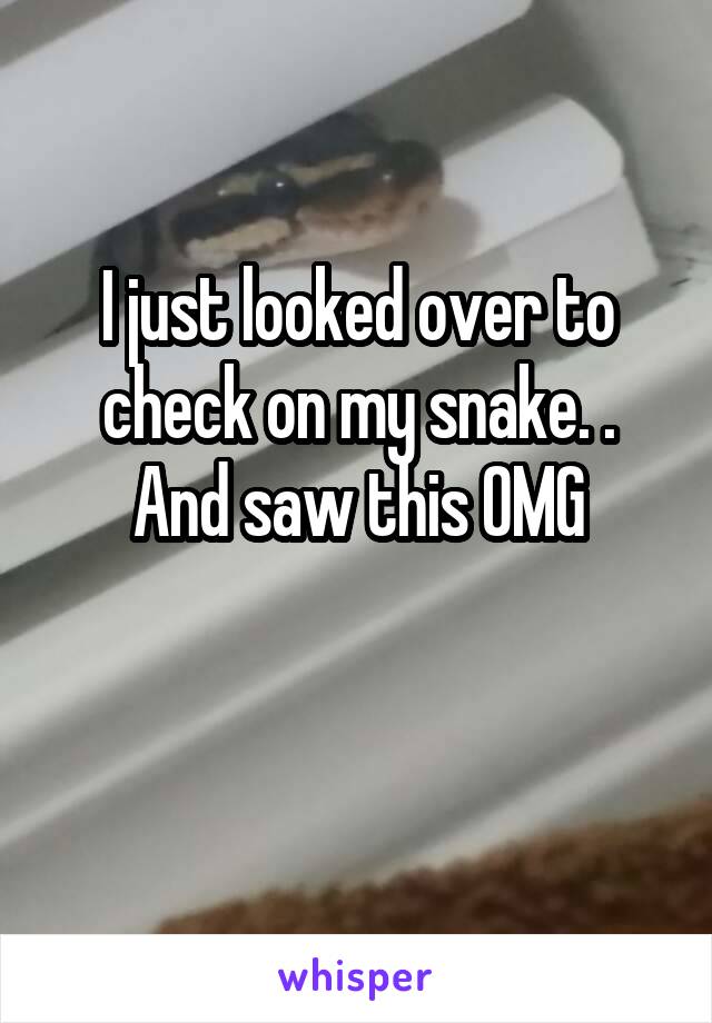 I just looked over to check on my snake. . And saw this OMG

