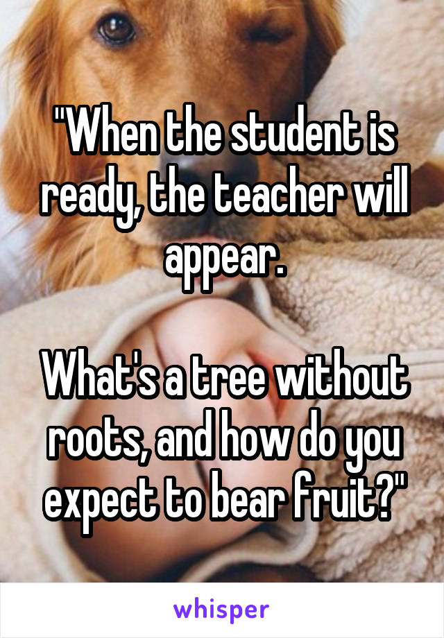 "When the student is ready, the teacher will appear.

What's a tree without roots, and how do you expect to bear fruit?"