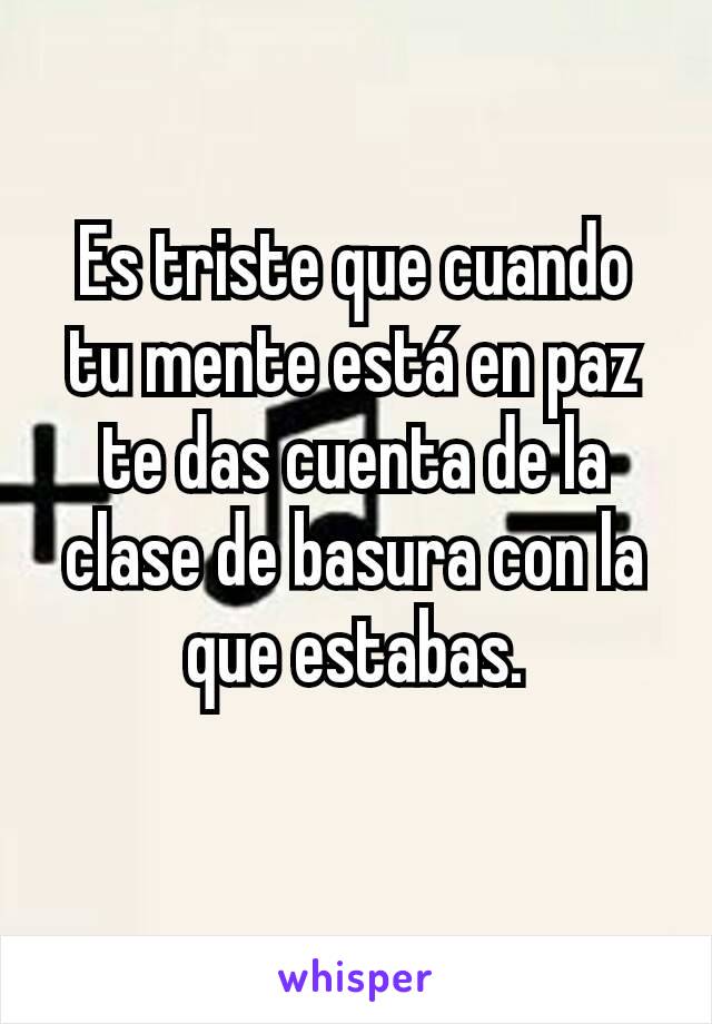 Es triste que cuando tu mente está en paz te das cuenta de la clase de basura con la que estabas.