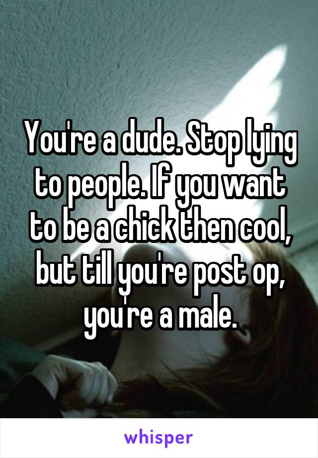 You're a dude. Stop lying to people. If you want to be a chick then cool, but till you're post op, you're a male.