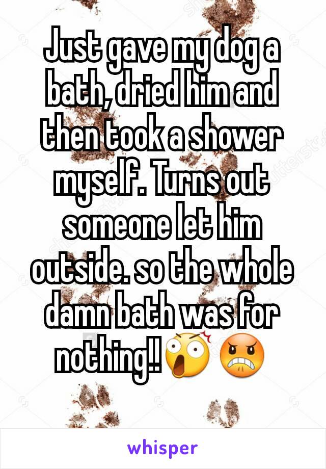 Just gave my dog a bath, dried him and then took a shower myself. Turns out someone let him outside. so the whole damn bath was for nothing!!😲😠