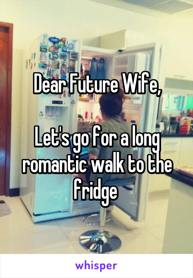 Dear Future Wife,

Let's go for a long romantic walk to the fridge 