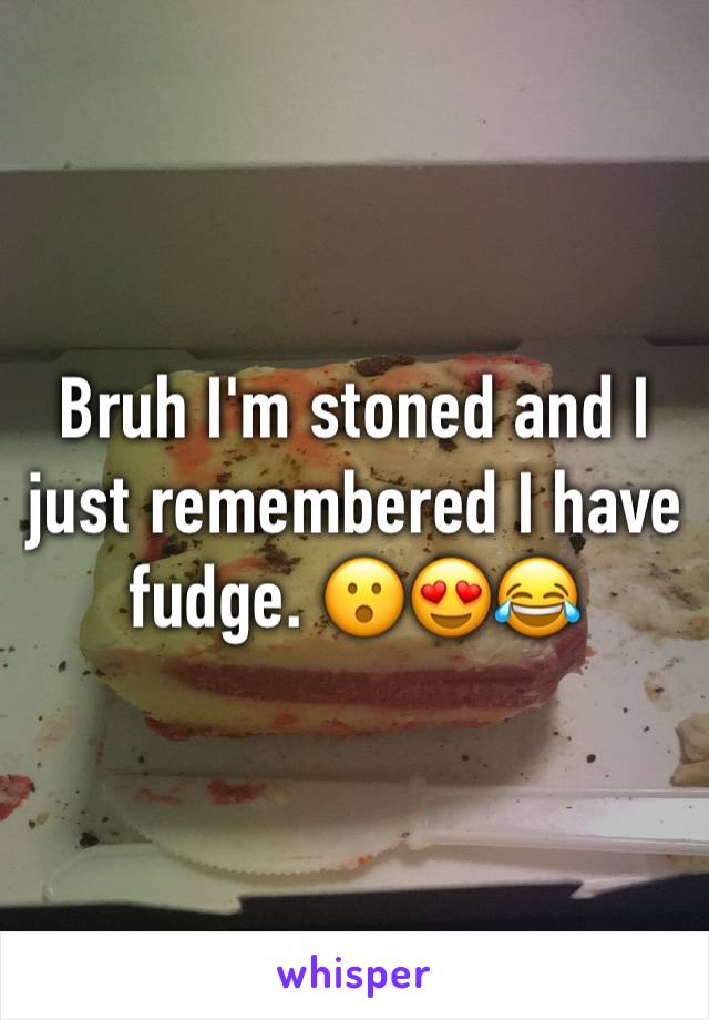 Bruh I'm stoned and I just remembered I have fudge. 😮😍😂