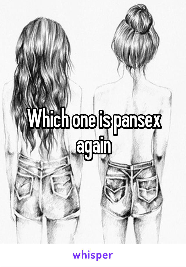 Which one is pansex again