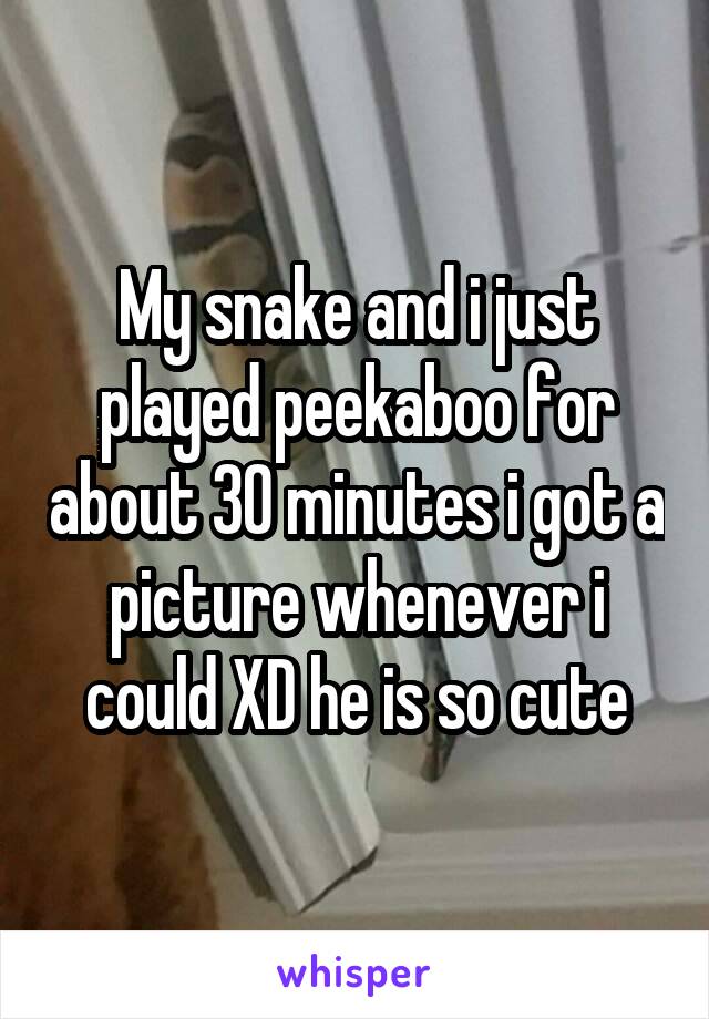 My snake and i just played peekaboo for about 30 minutes i got a picture whenever i could XD he is so cute