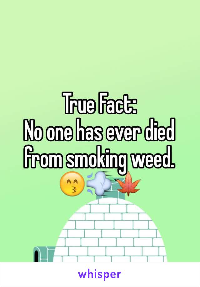 True Fact:
No one has ever died from smoking weed.
😙💨🍁