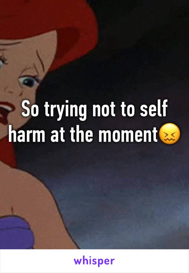 So trying not to self harm at the moment😖