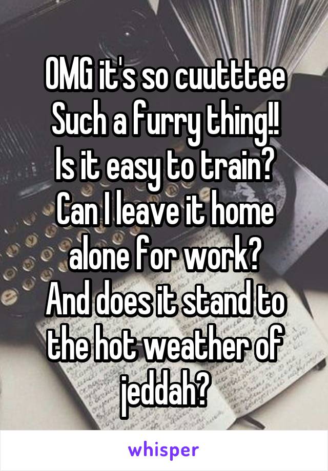 OMG it's so cuutttee
Such a furry thing!!
Is it easy to train?
Can I leave it home alone for work?
And does it stand to the hot weather of jeddah?